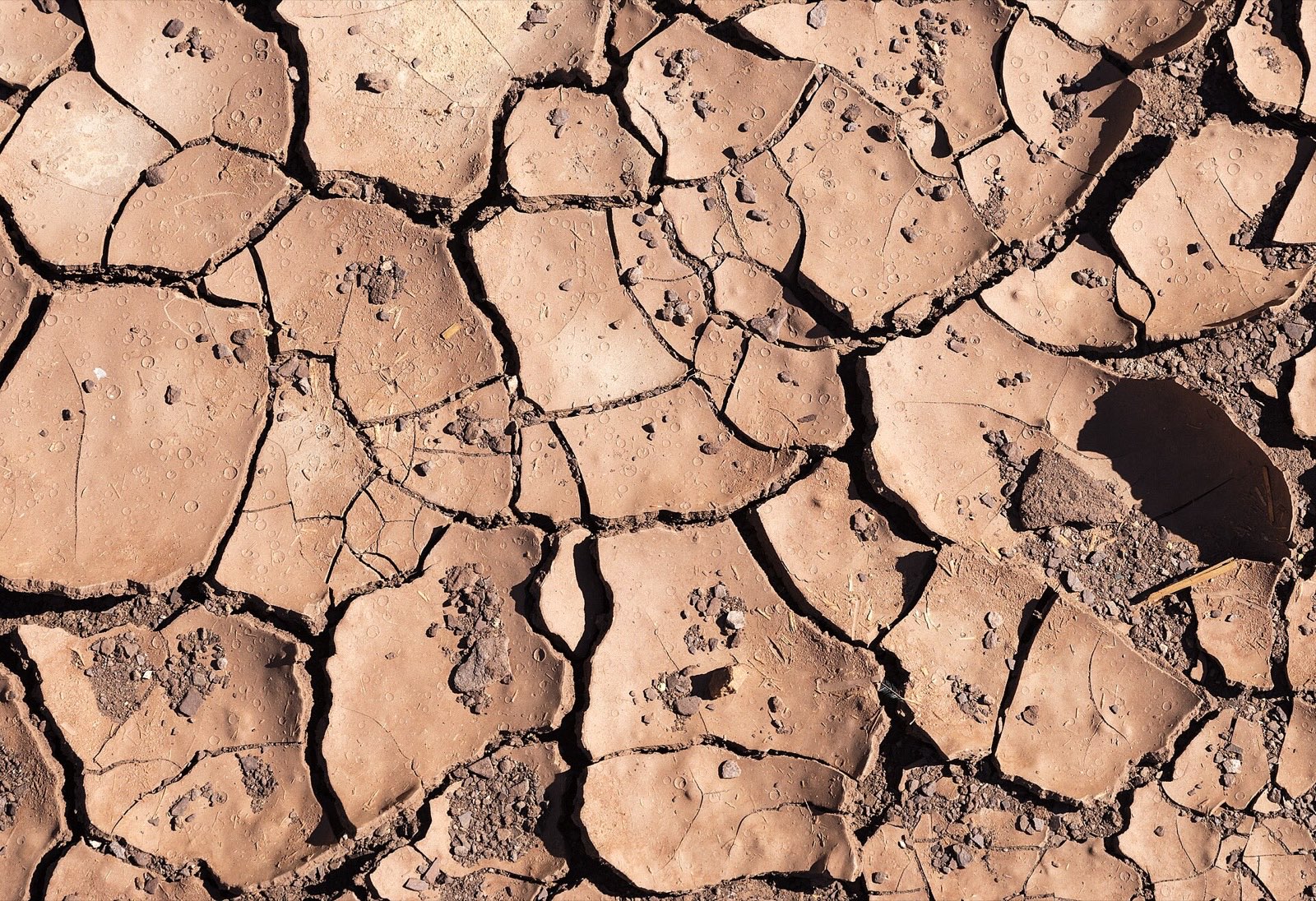 Deep cracks in dried clay ground
